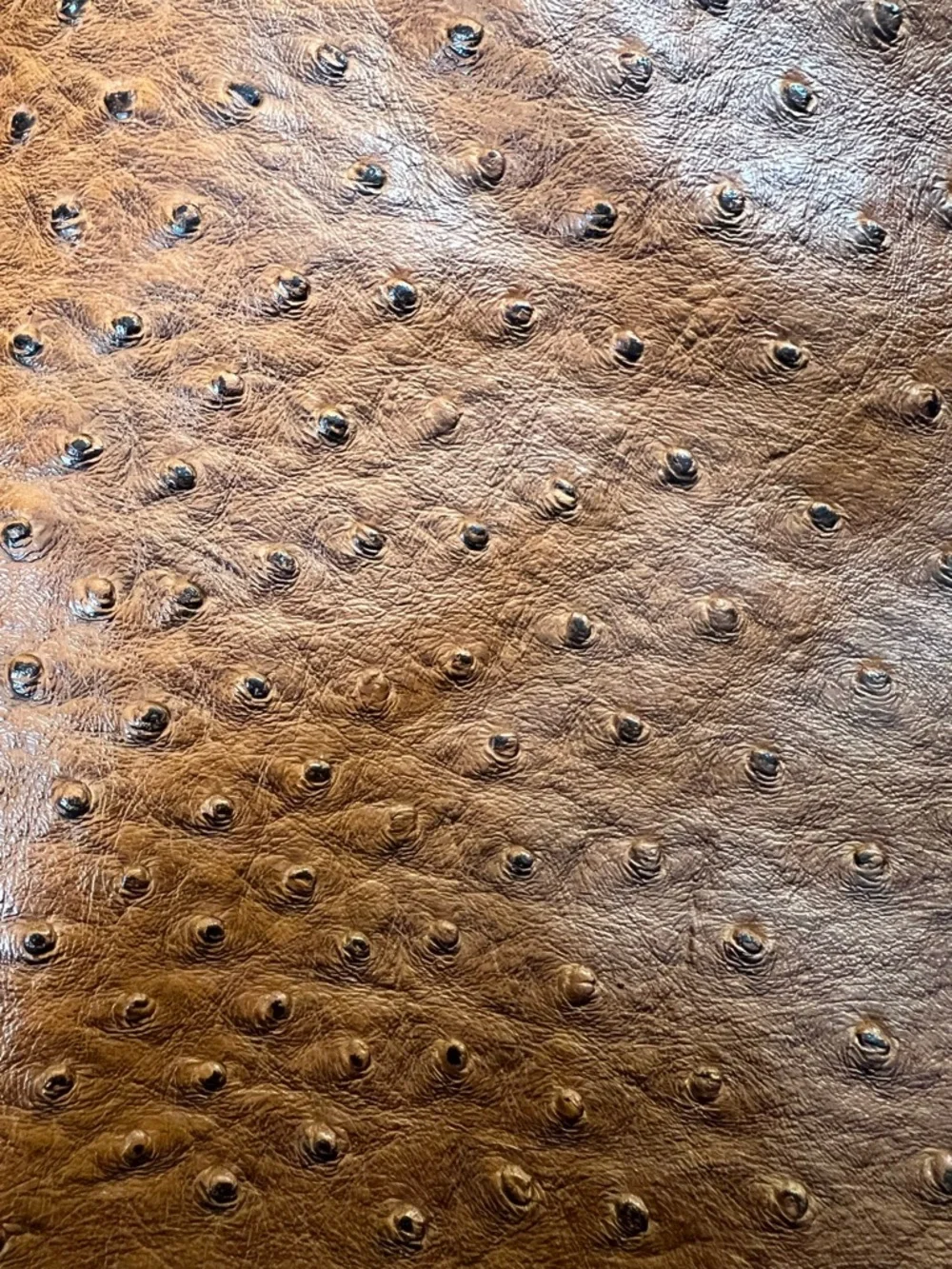 Isabella's Journey caramel brown tote bag‎ faux ostrich embossed leather